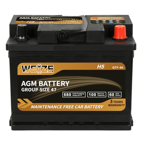 Weize Platinum AGM 12V 60Ah Automotive Battery with 680 CCA