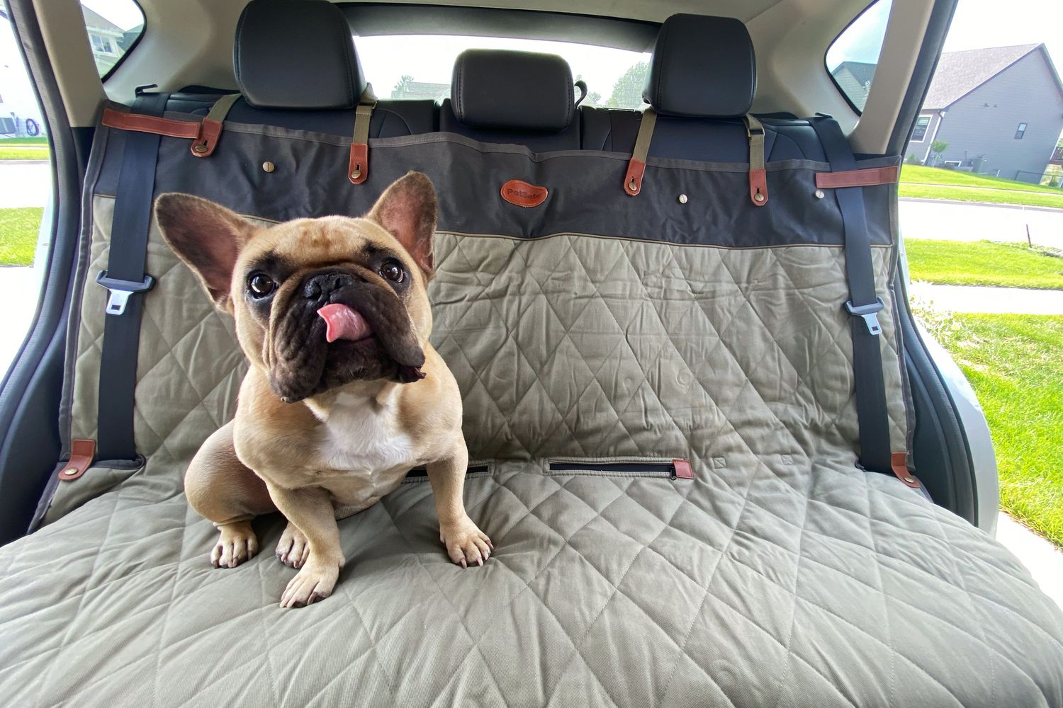 9 Best Car Seat Covers For Dogs (2026 Review Guide)