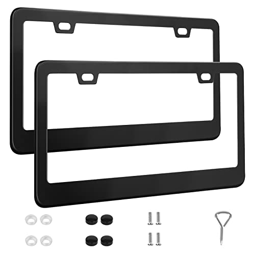 Stainless Steel Car License Plate Frames with Screw Caps - 2 Pack